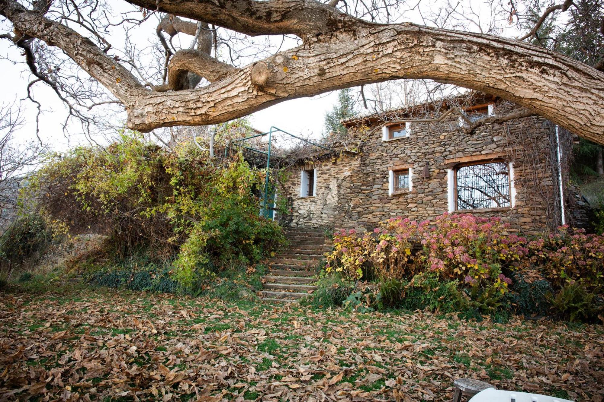 Willa La Casa Del Nogal Güéjar Sierra Zewnętrze zdjęcie