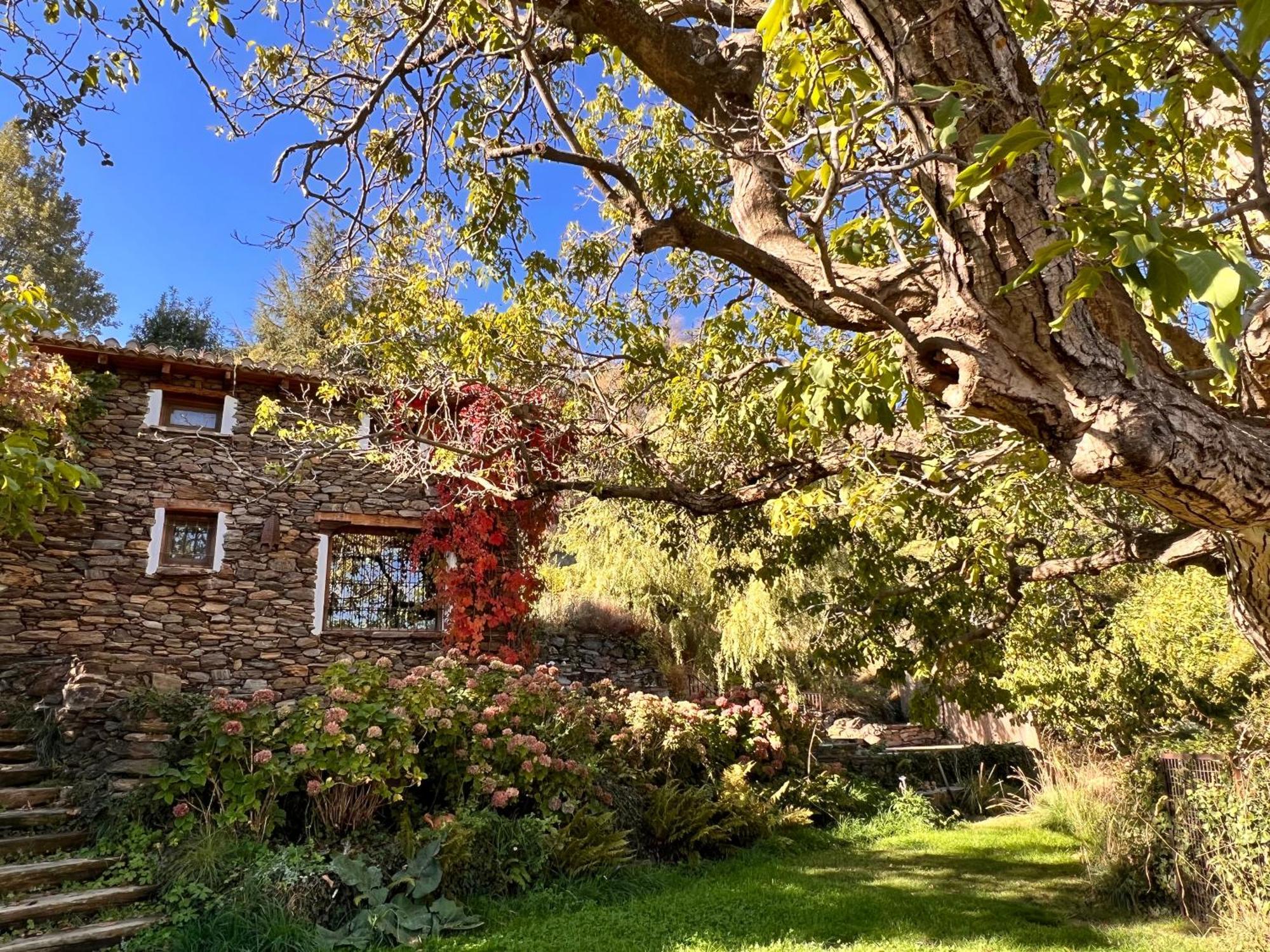 Willa La Casa Del Nogal Güéjar Sierra Zewnętrze zdjęcie